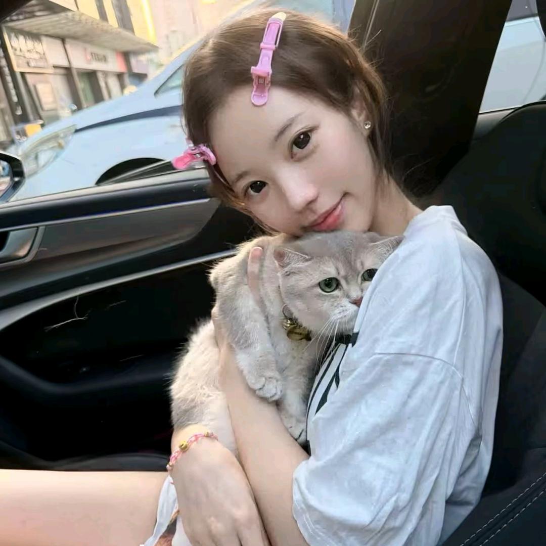 ㅤㅤㅤㅤㅤㅤ       ㅤㅤㅤ