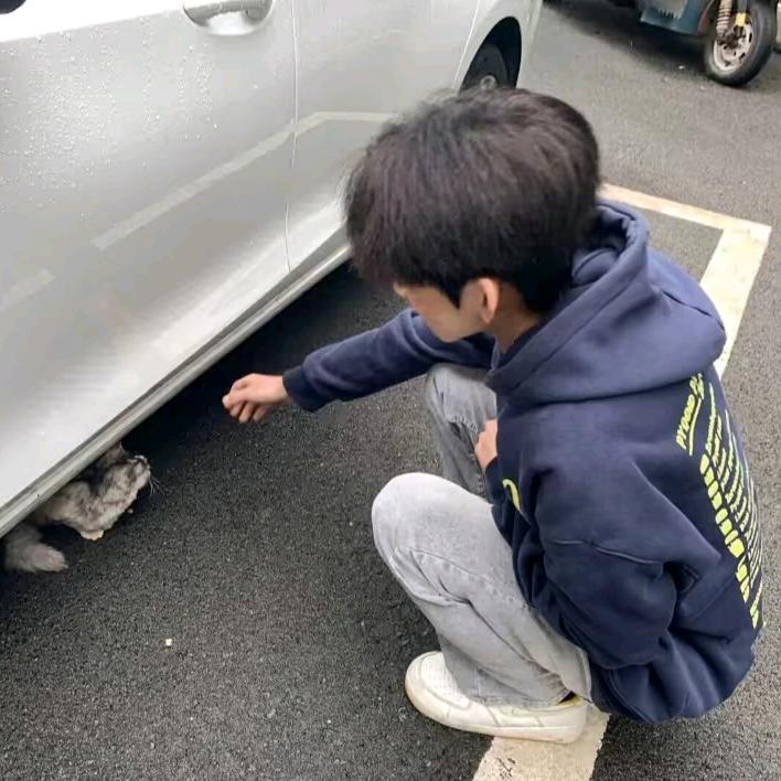 沉思录