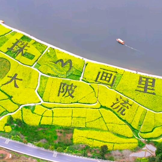 沉默