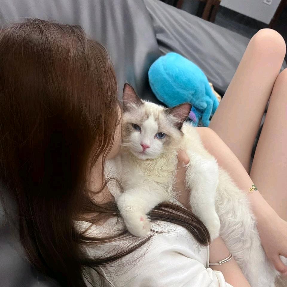 港澳通行丝滑