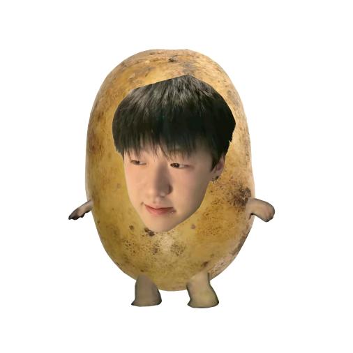 小小小小小盆盆猪