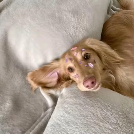 重生之要当富豪榜前四