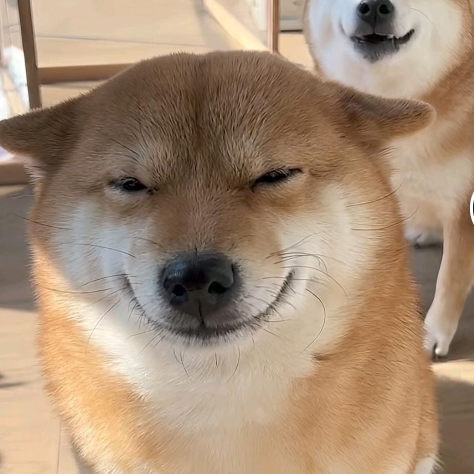 加载中。。。。