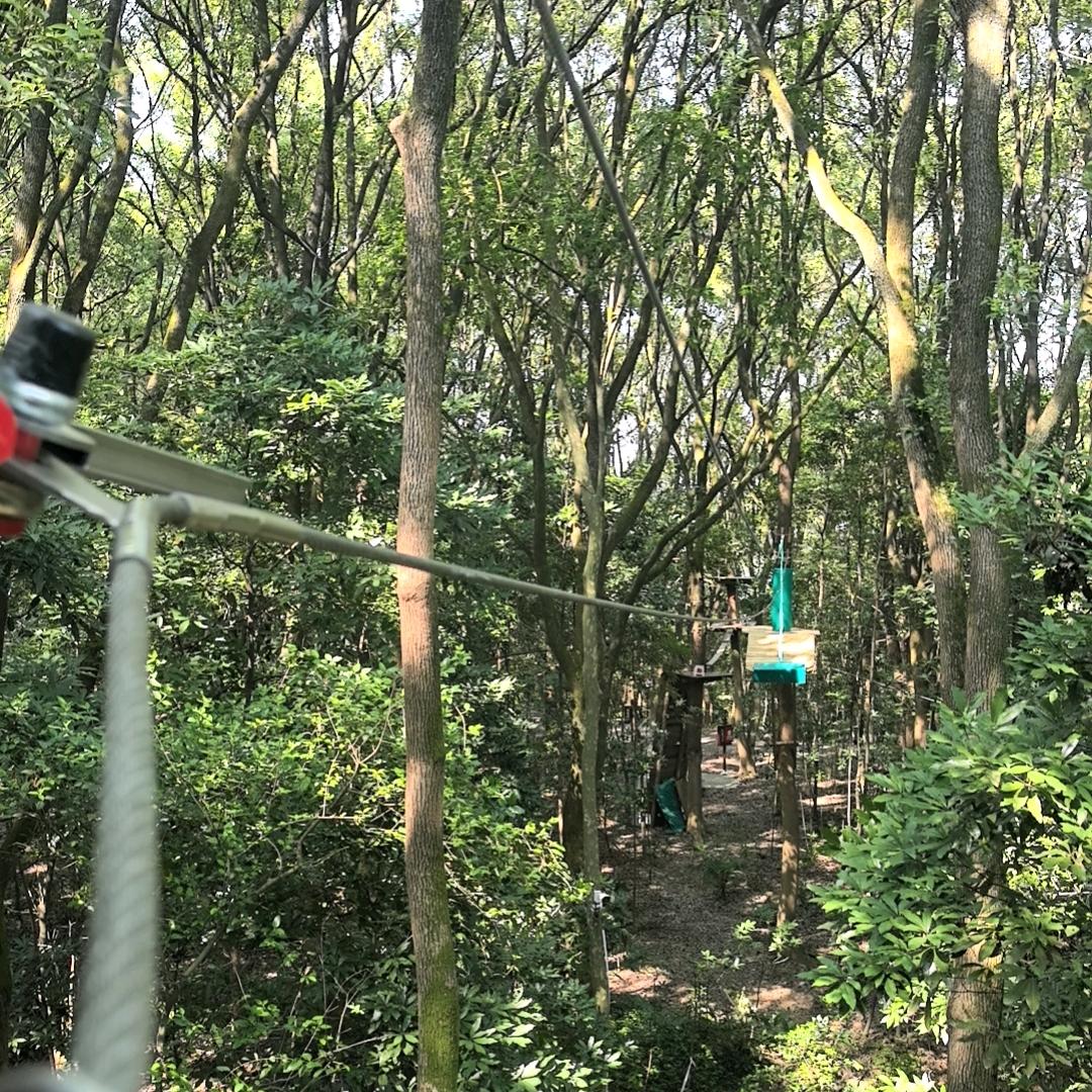 森林男孩