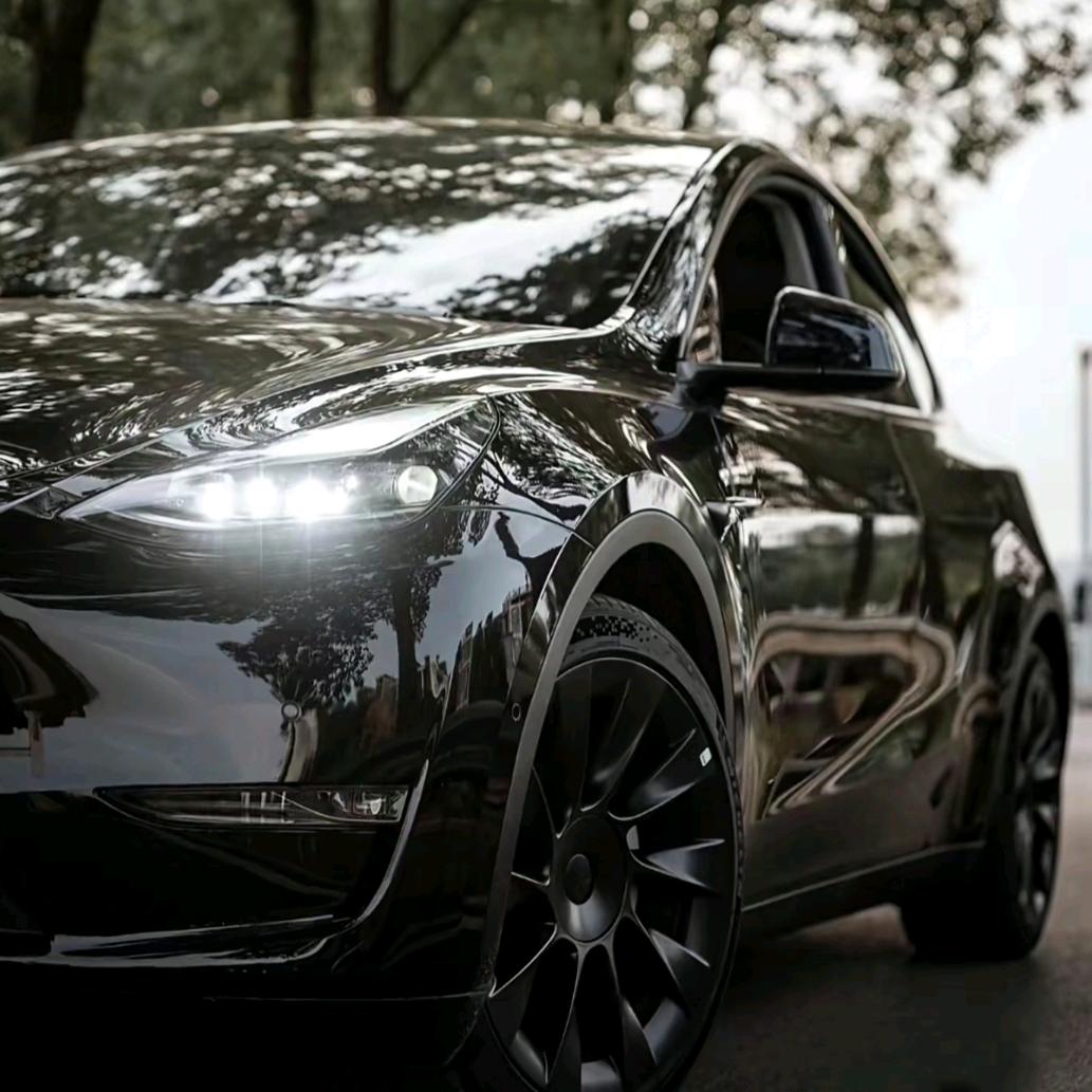 陈老师日常分享