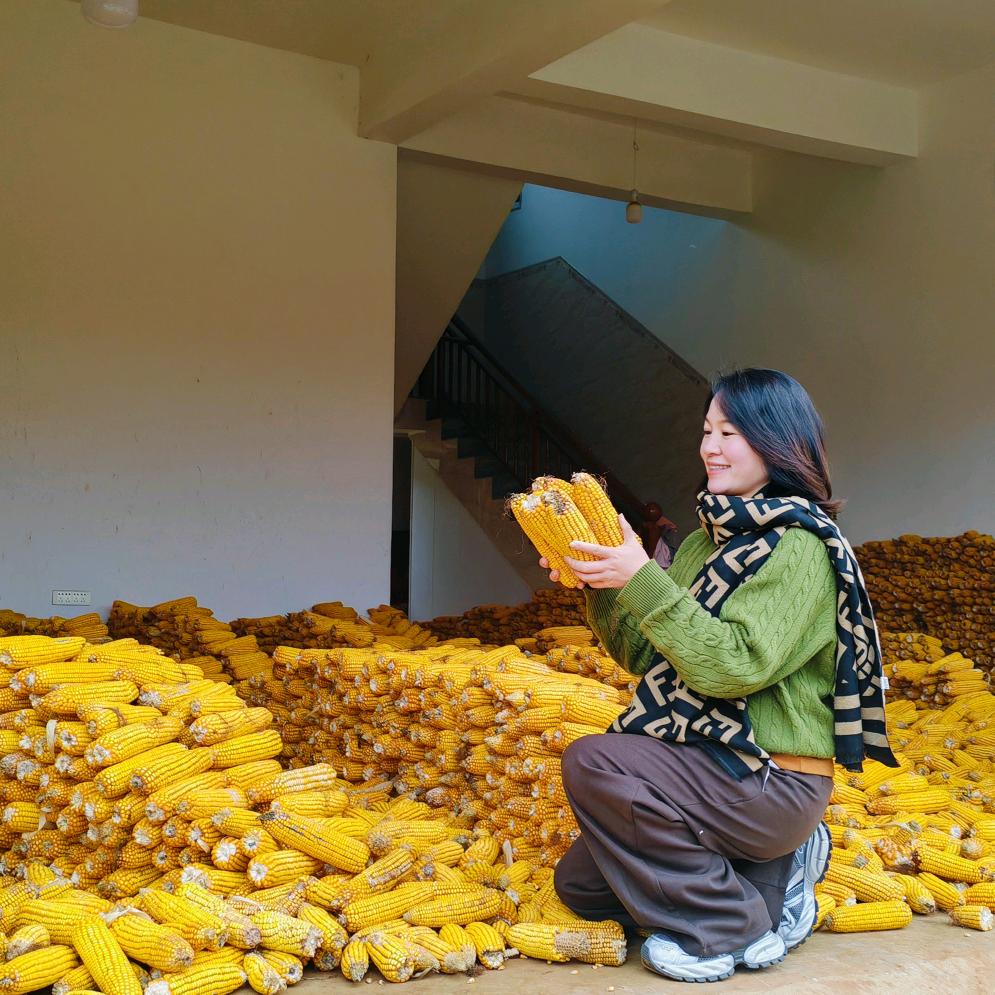 永安驻村小沈
