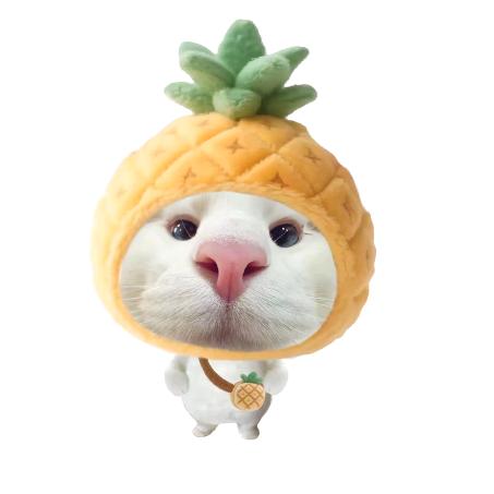 羽