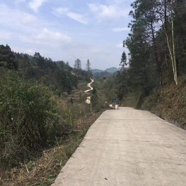 一生有你就足够