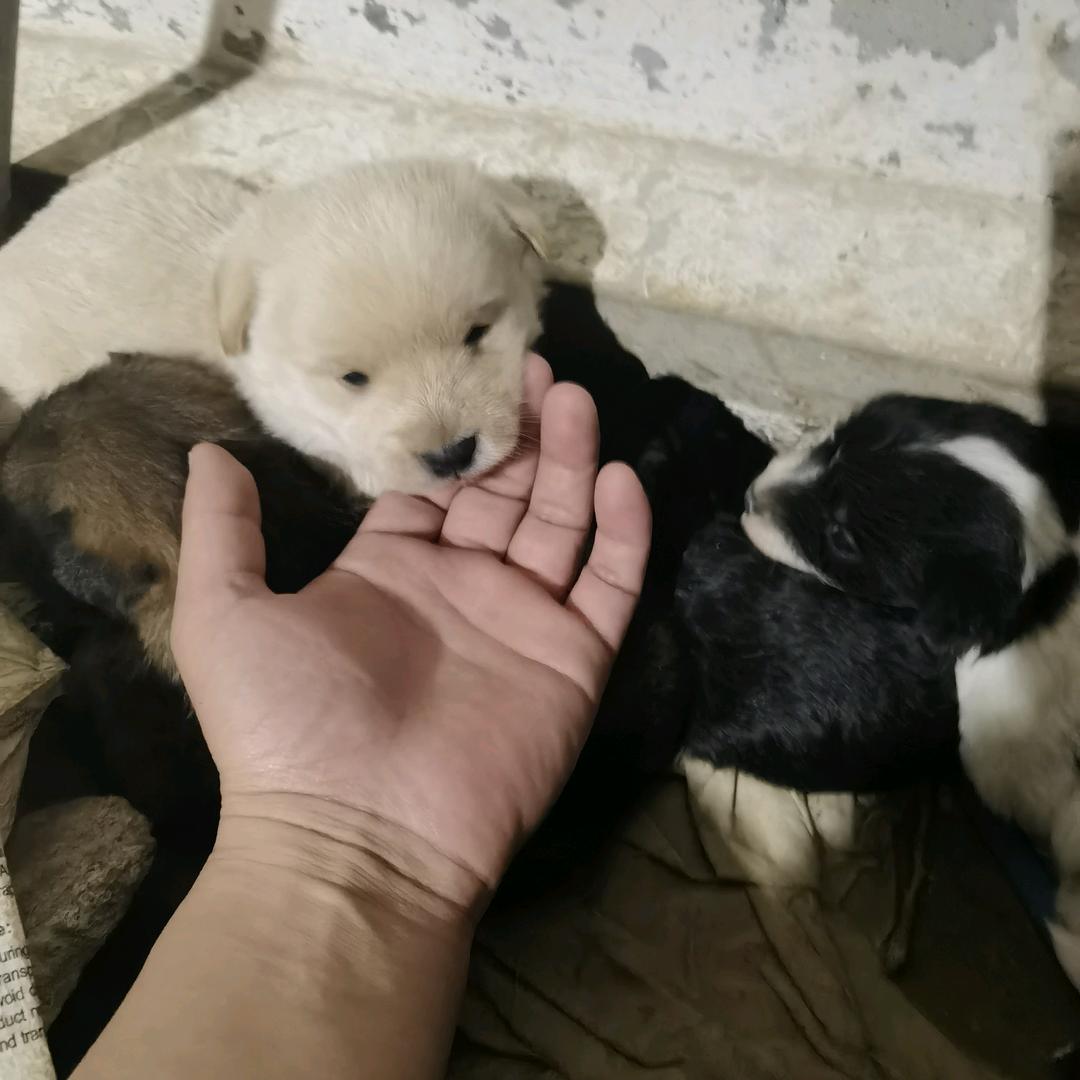 睡醒必回！！！