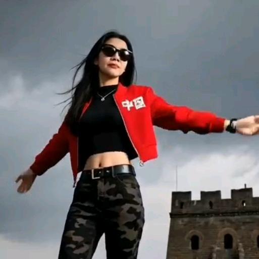 平姐姐顺风车(慈利⇋广东)