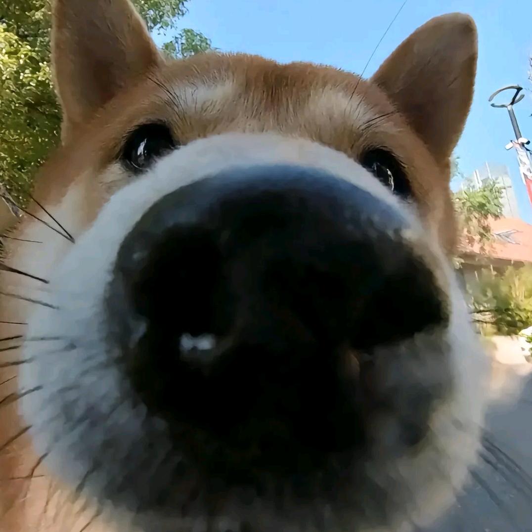 略略略～໑ຼₒ₂5ღ🕊꧔ꦿ᭄🐰