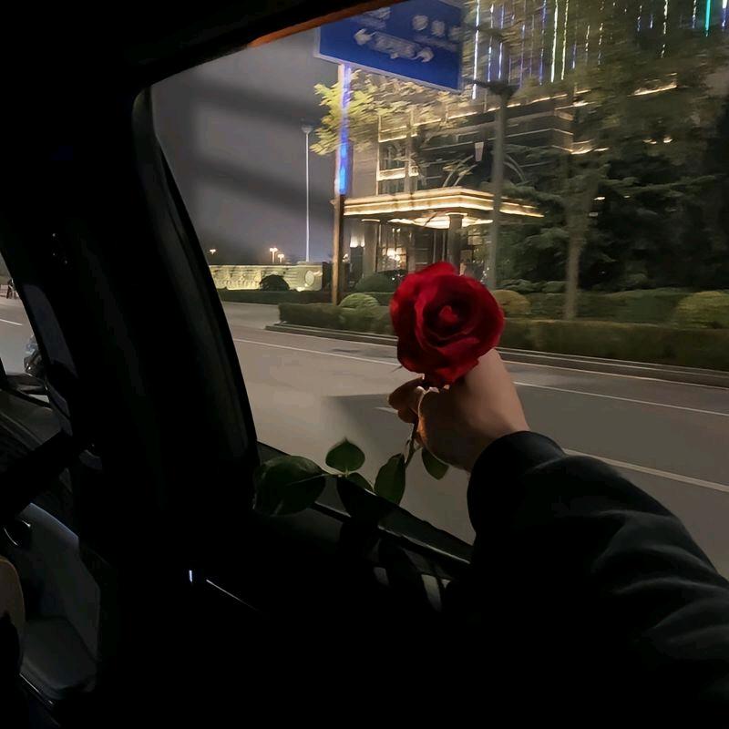 爱意似雾渐散