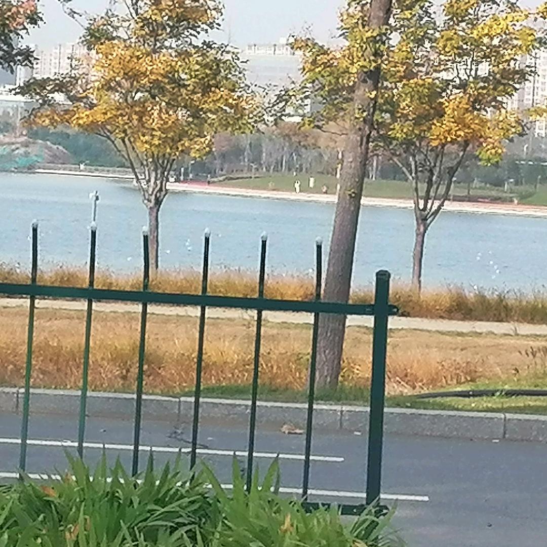 大家一起是缘分
