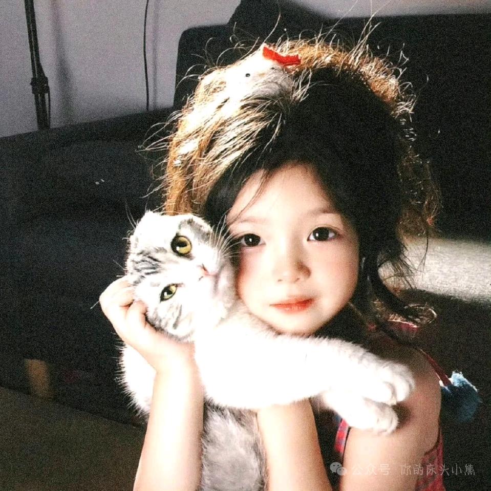 iu3o3