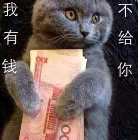 放飞自我