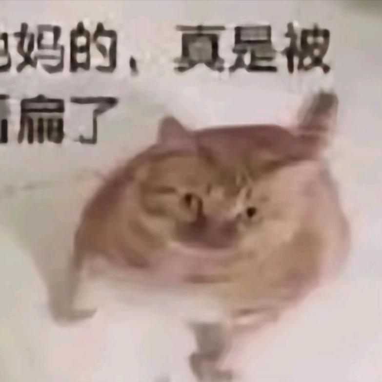 辰楠