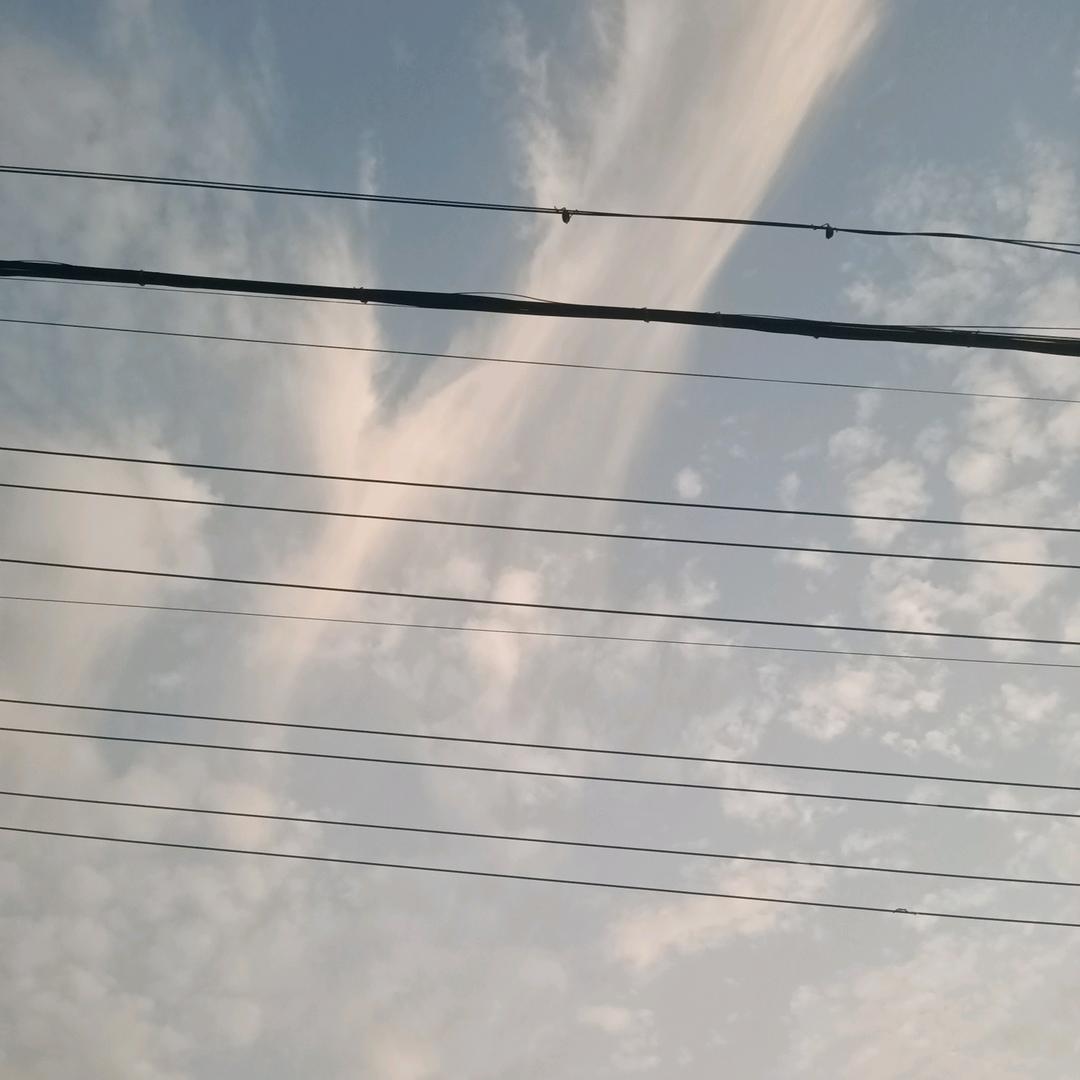 9267536898