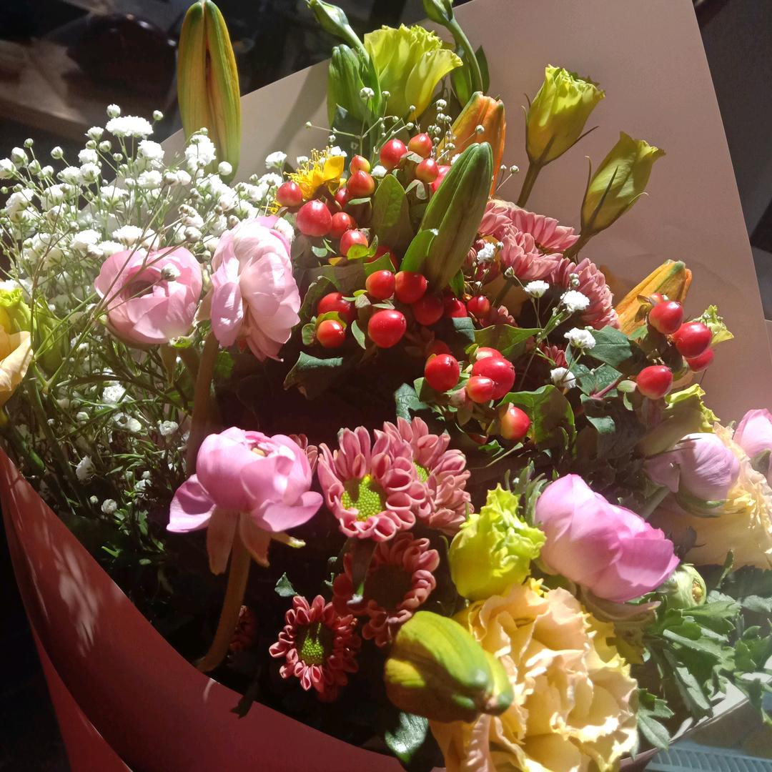 ✈️✈️✈️✈️