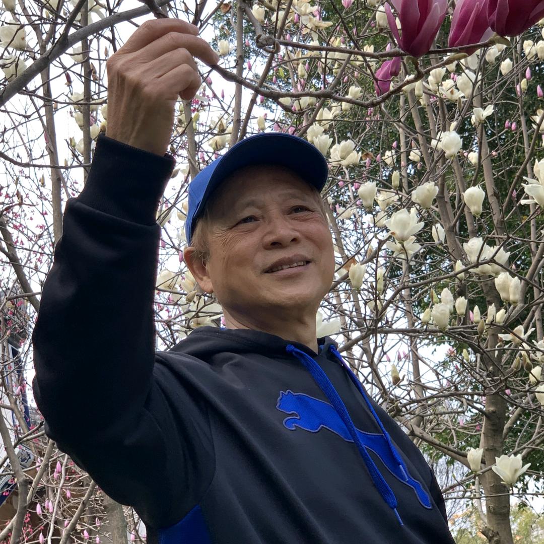 林中健步