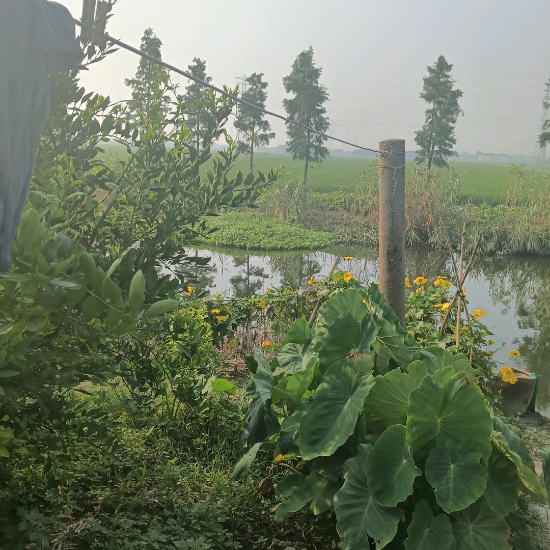 范钦贵