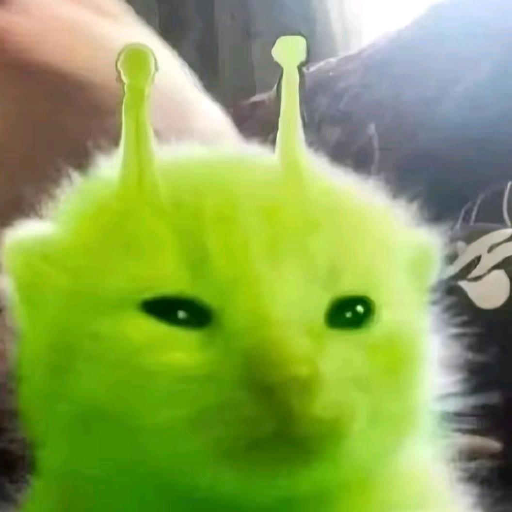 火摇裤滂臭