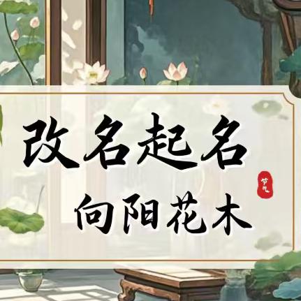 起名