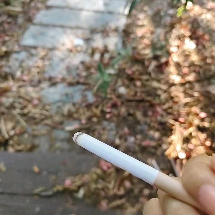 树洞
