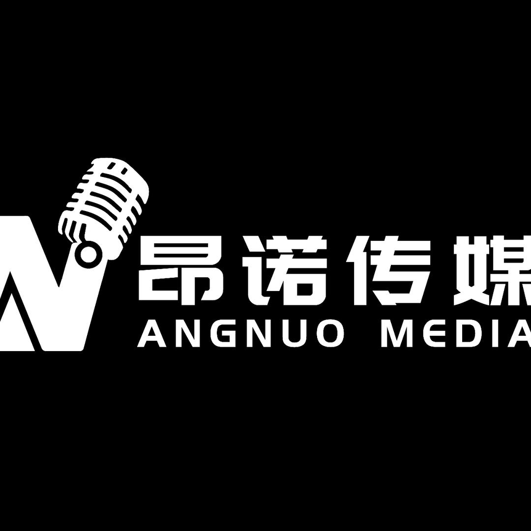 河北昂诺文化传媒有限公司大石团队
