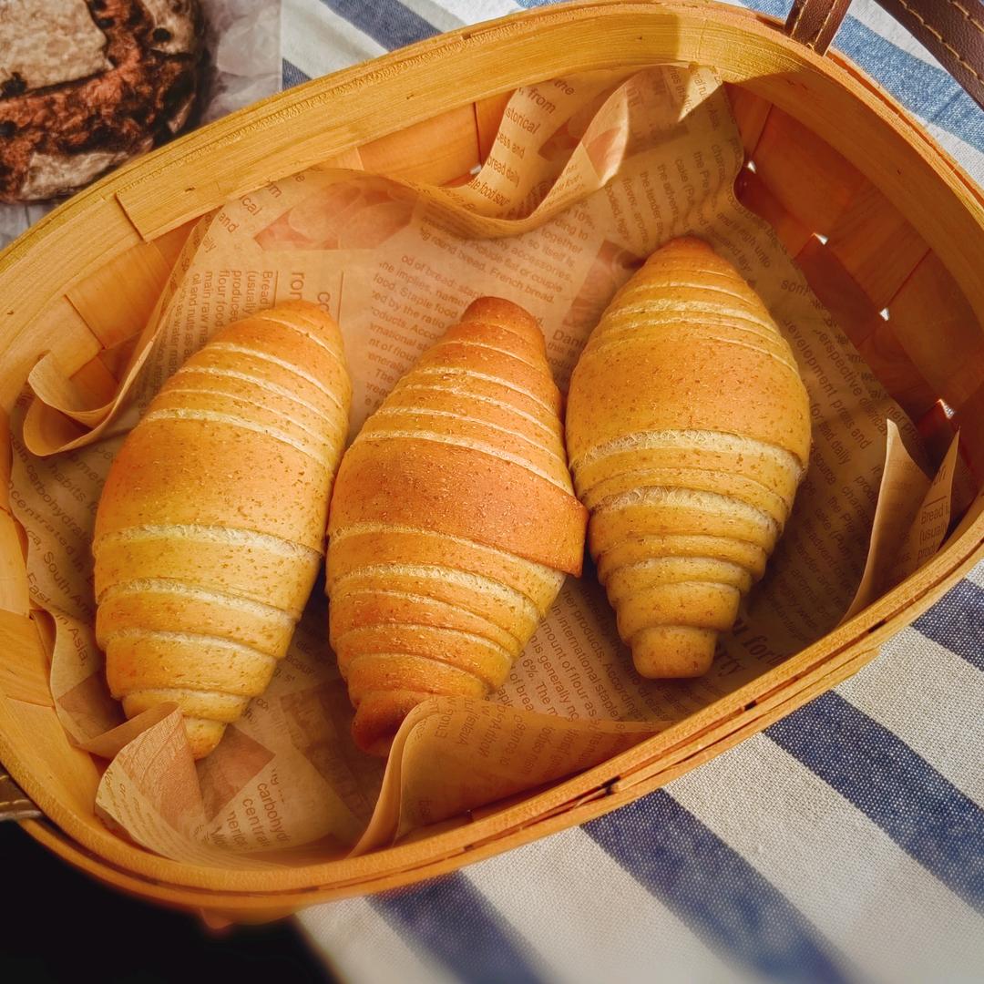 糖西小可的日常