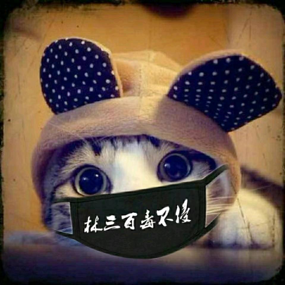 林三彩店