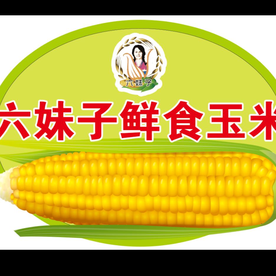 六妹子鲜食玉米