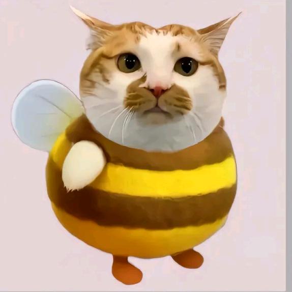 橘子不是唯一的水果