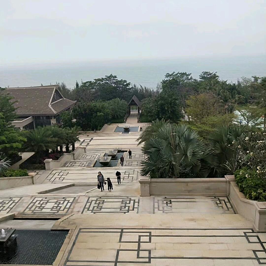 柠檬很萌但很酸