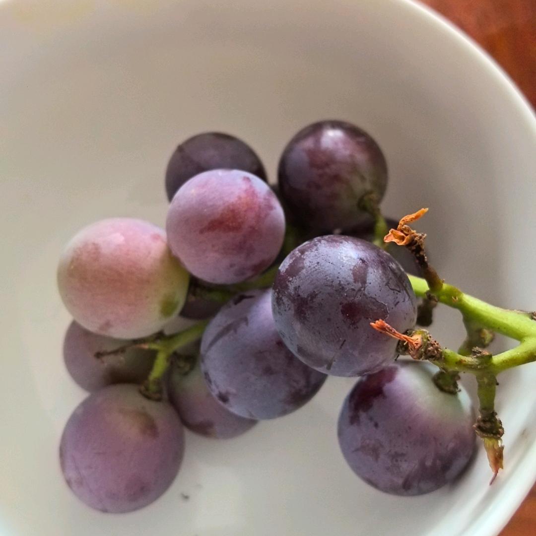 一江春水向东流