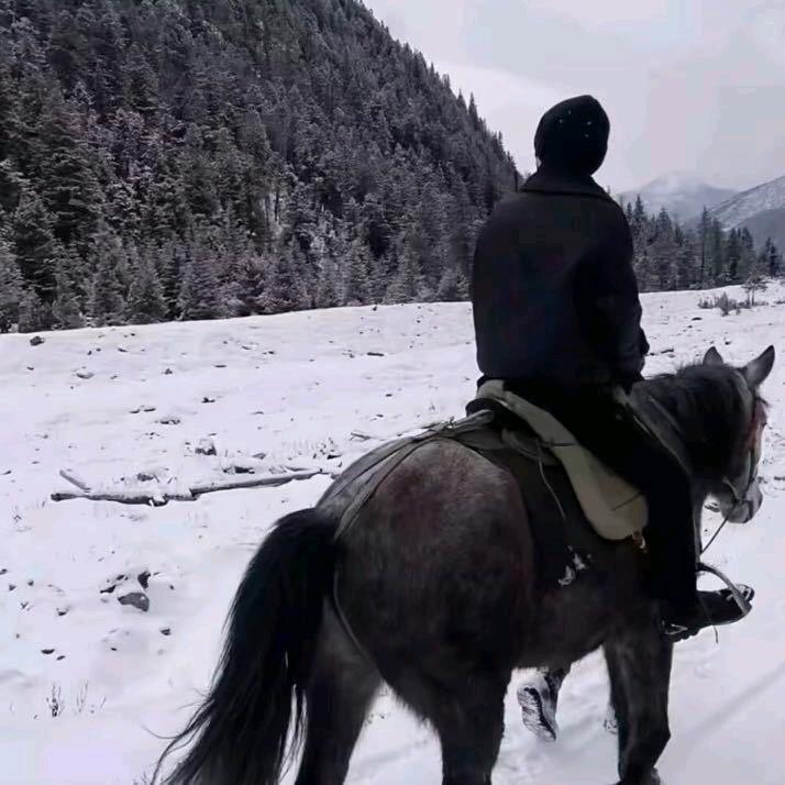 七鑫大当家（富宁店）