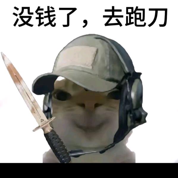 岁岁（三角洲行动跑刀）