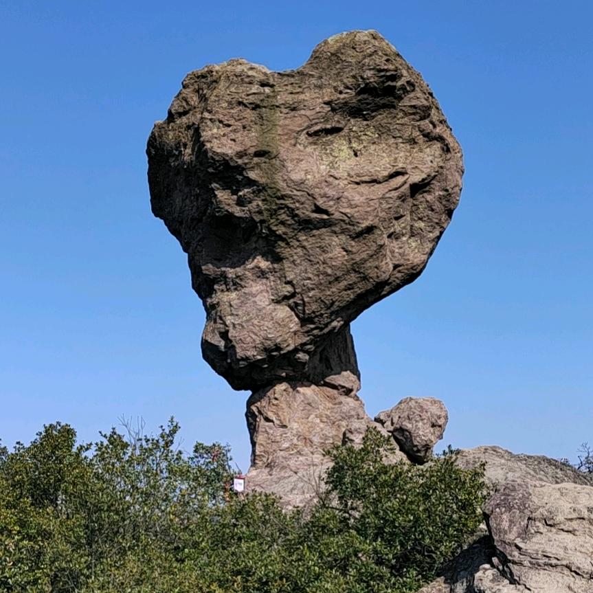 随遇而安