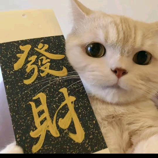 helloD
