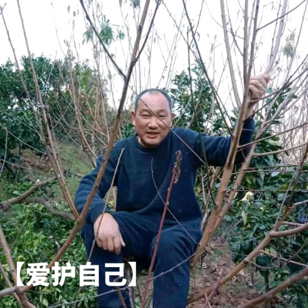 乡村客车李麻木