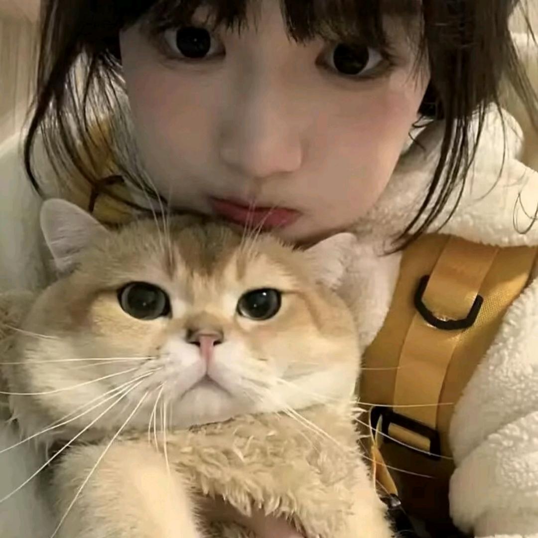 妳的茉莉
