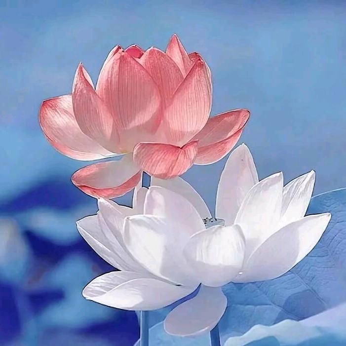 ℒᎭℯ⃝家的温馨࿐