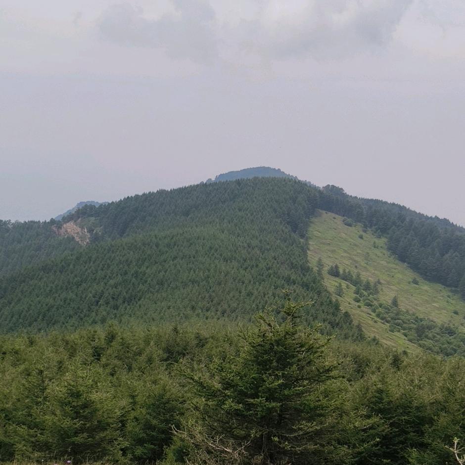清🌿风🍃