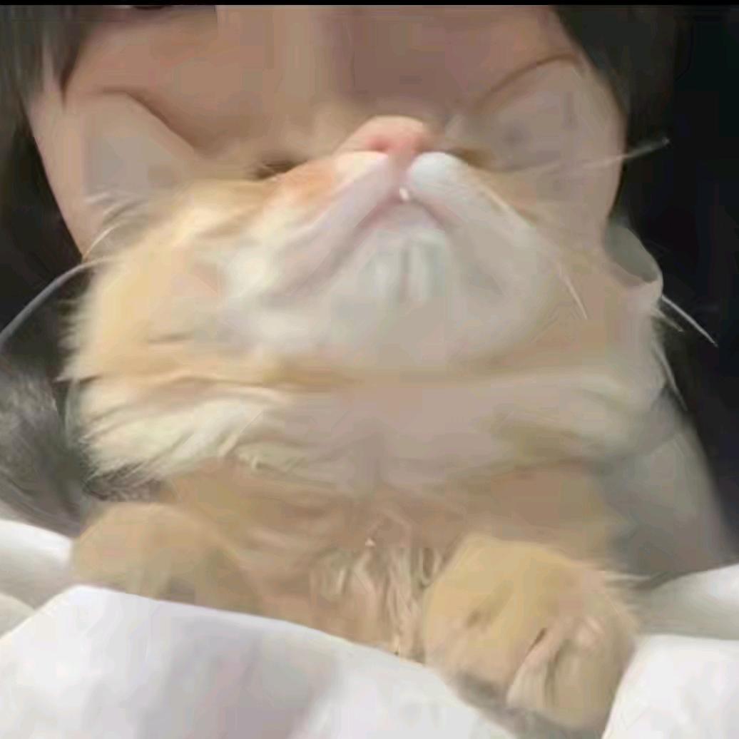 月初想溜龟