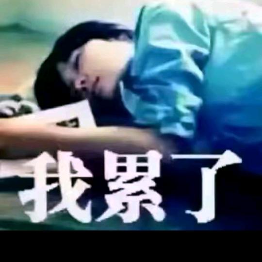 忘忧草🌺