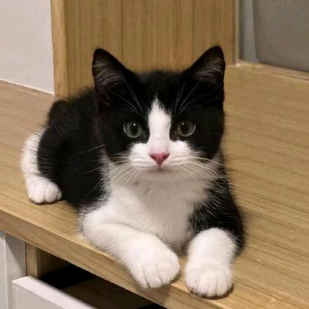 (^_−)☆
