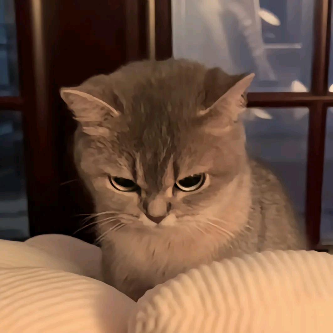 榆关               ༽