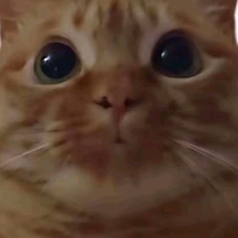 蒜鸟蒜鸟，你搞不赢他的