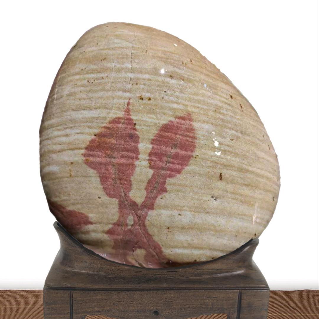 宋先明兰花石界