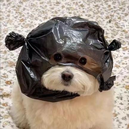 亚洲四少爷
