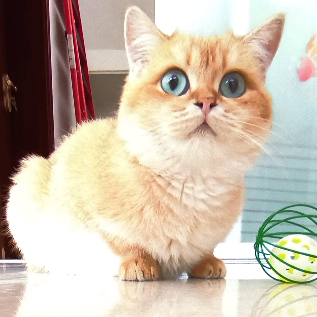 老家河南【固始】